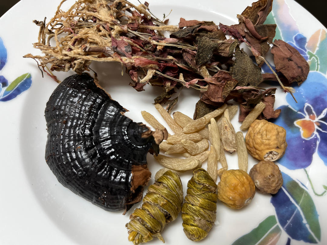 金线莲灵芝石斛炖瘦肉汤（喉咙肿痛、热咳）