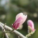 手机用户9867_ycbq