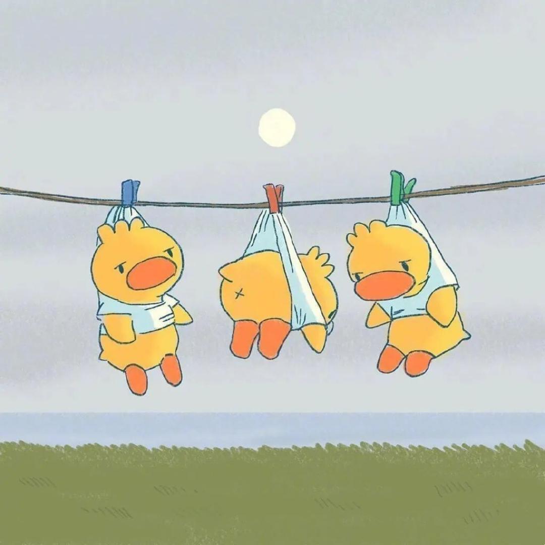 努力减肥的猪猪