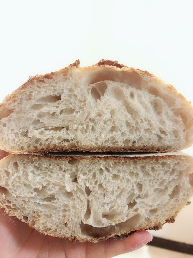 一起玩天然酵种欧包（11. 02更新）