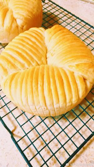 椰奶毛线球🧶面包的做法 步骤18