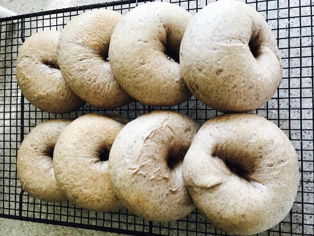 基础黑麦贝果（黑麦波兰种）