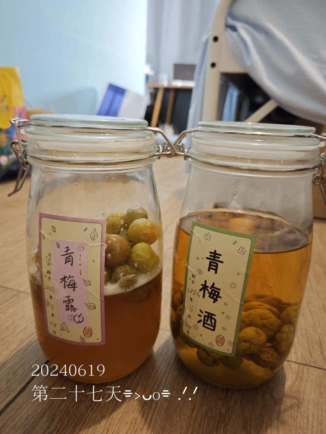 【青梅酒】梅子的沉醉时光（已填坑）