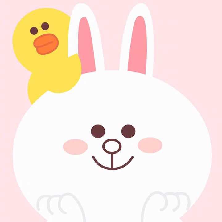 不会玩专家