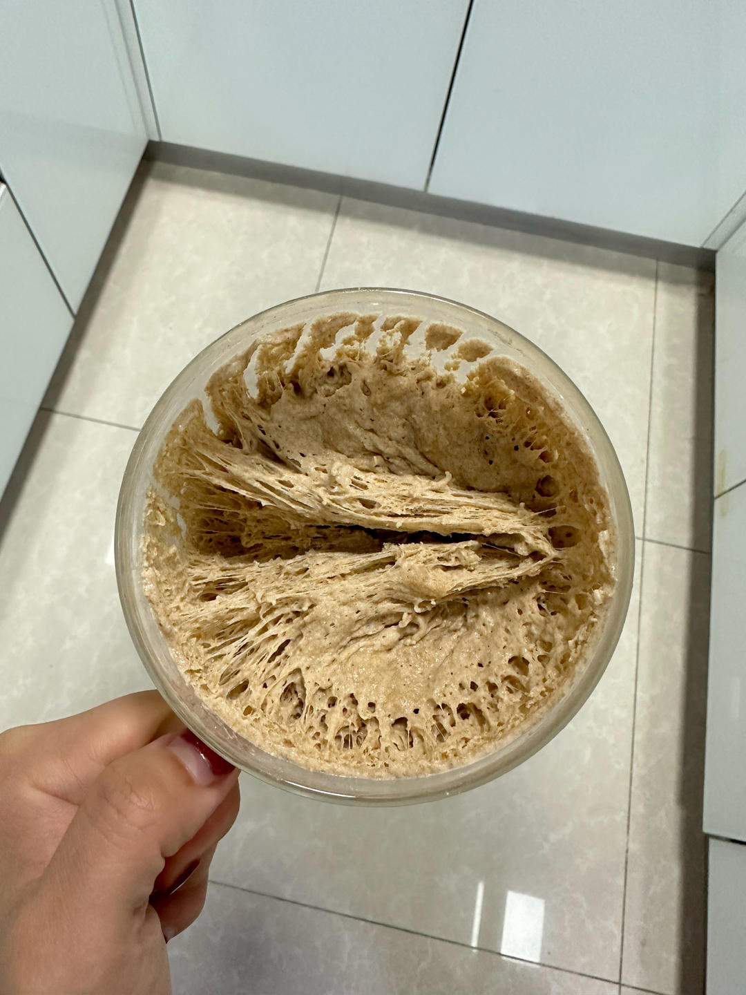 50%全麦吐司｜低糖低脂，吃起来不像是吃全麦的全麦吐司！