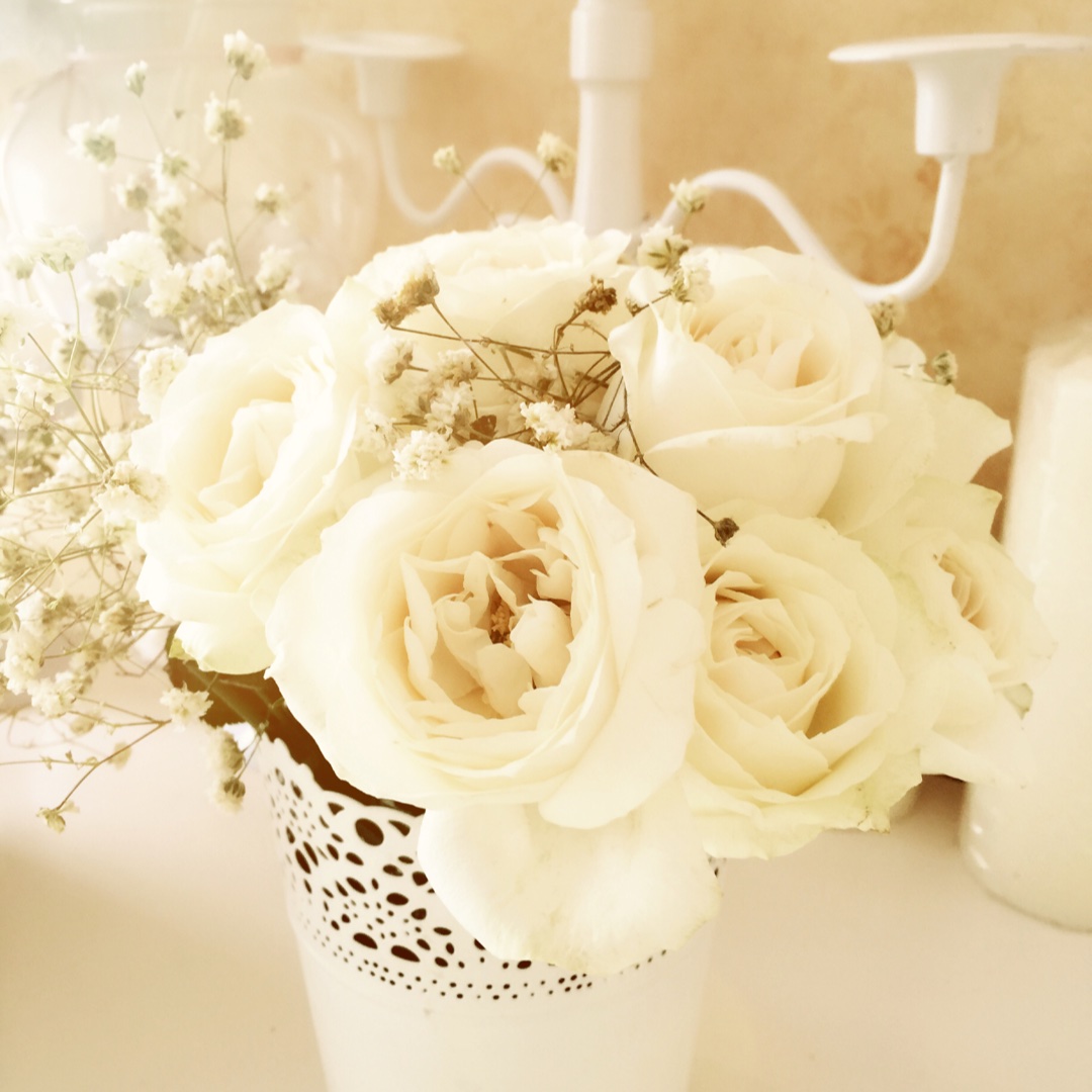 我是熊熊我是熊熊