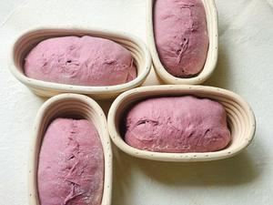 全麦紫薯mini欧包丨鲁邦种·附制作时间的做法 步骤23
