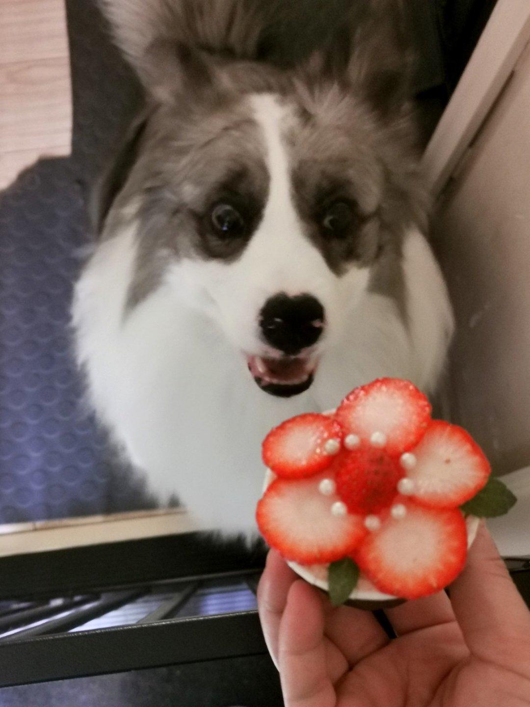 小红花纸杯蛋糕