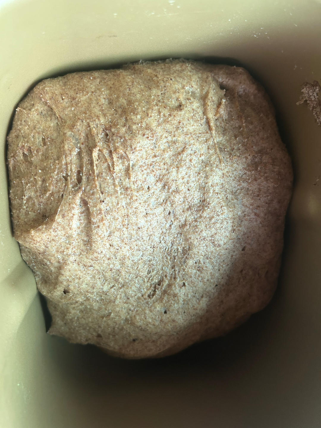 无糖无油全麦列巴