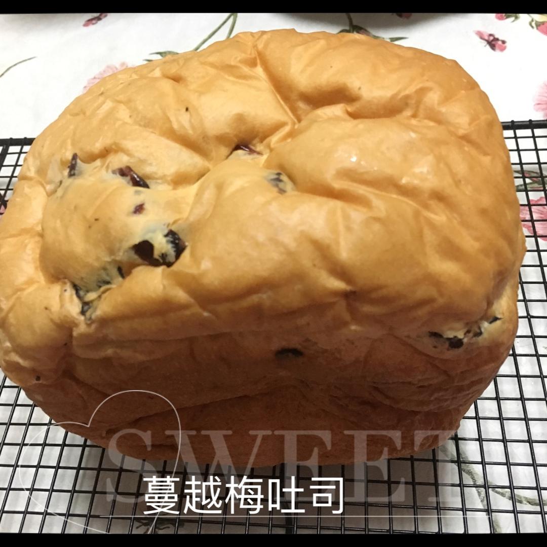 提子土司（柏翠面包机PE6280）自用方子