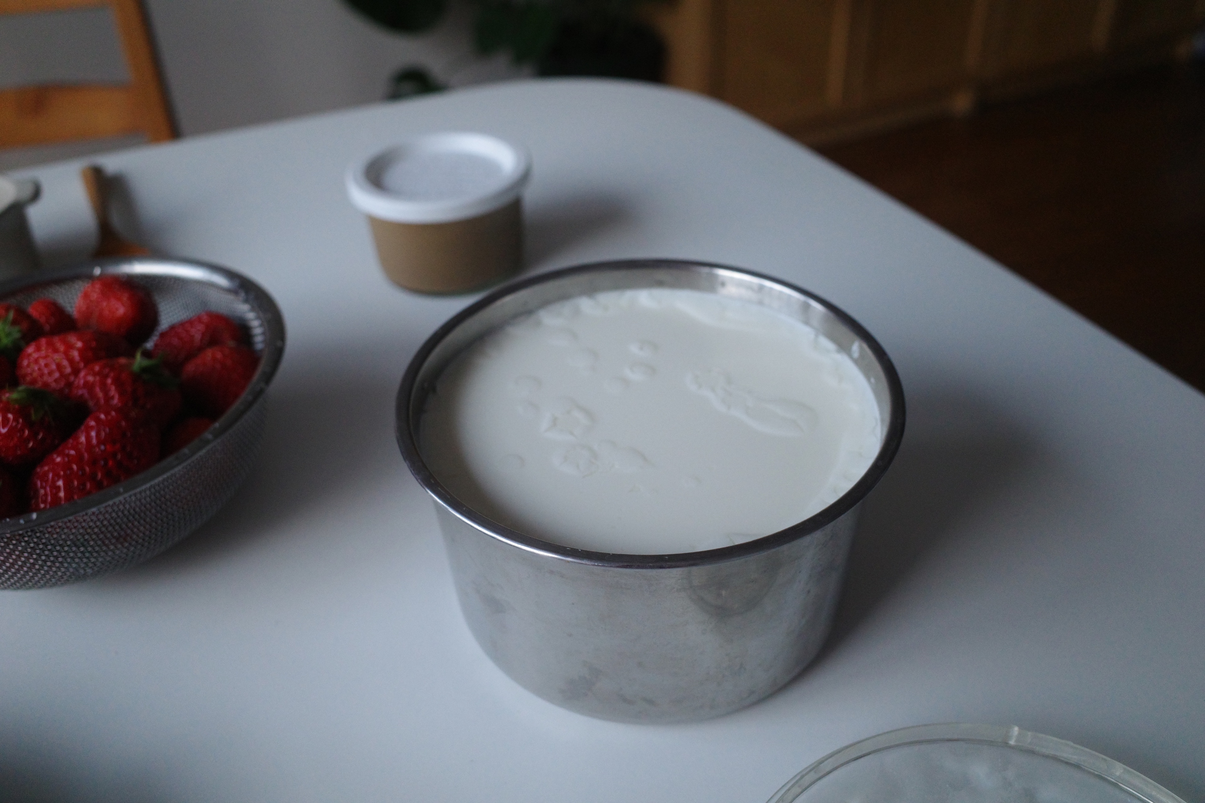 自制酸奶 自家酸奶