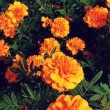 没事找事3083_zlqi