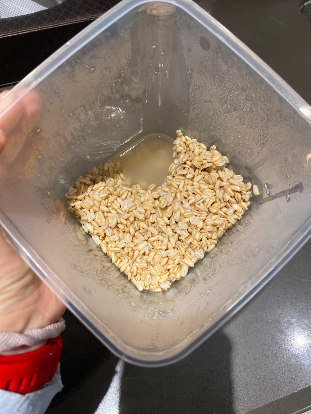 燕麦酒酿（甜胚子）丨健康·三餐