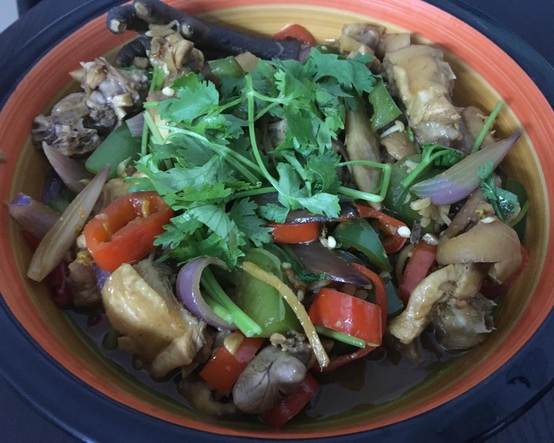 广东鸡煲