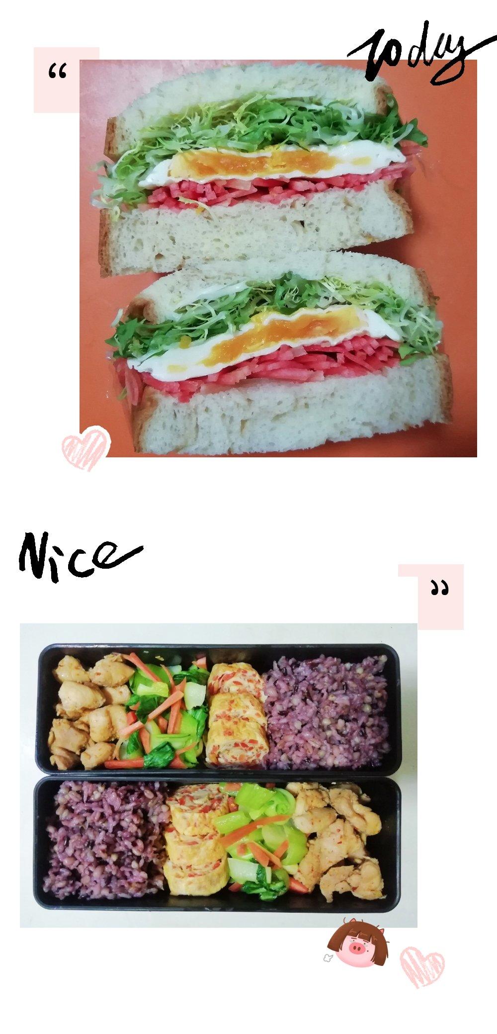 健身减脂增肌打卡