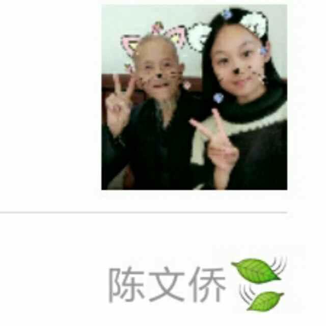 陈文侨