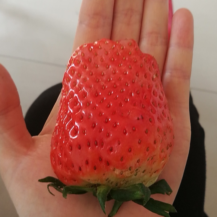 我有草莓你没有