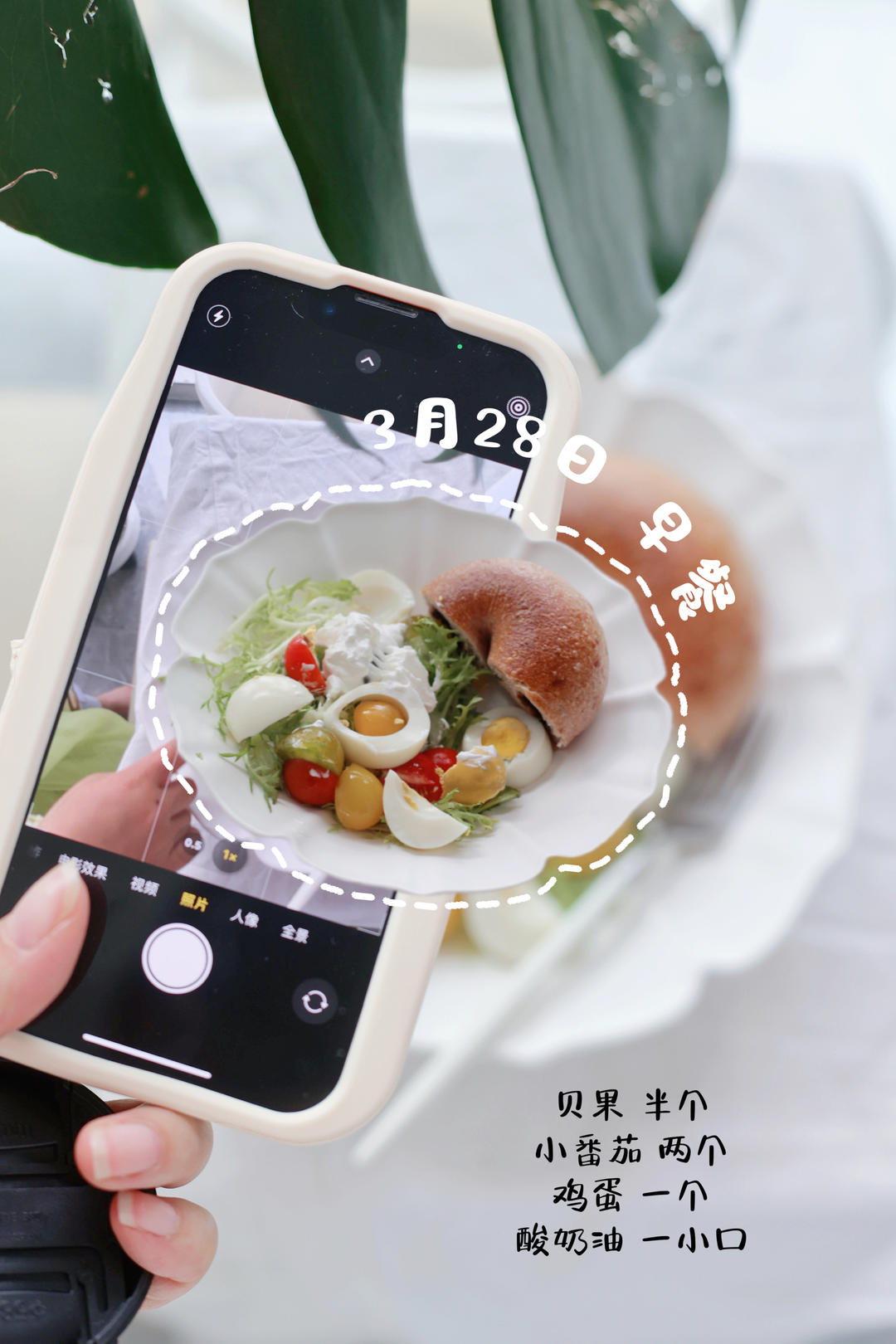 孕期食谱
