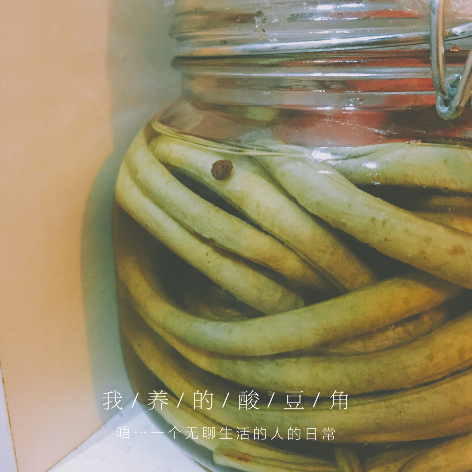 自制酸豆角