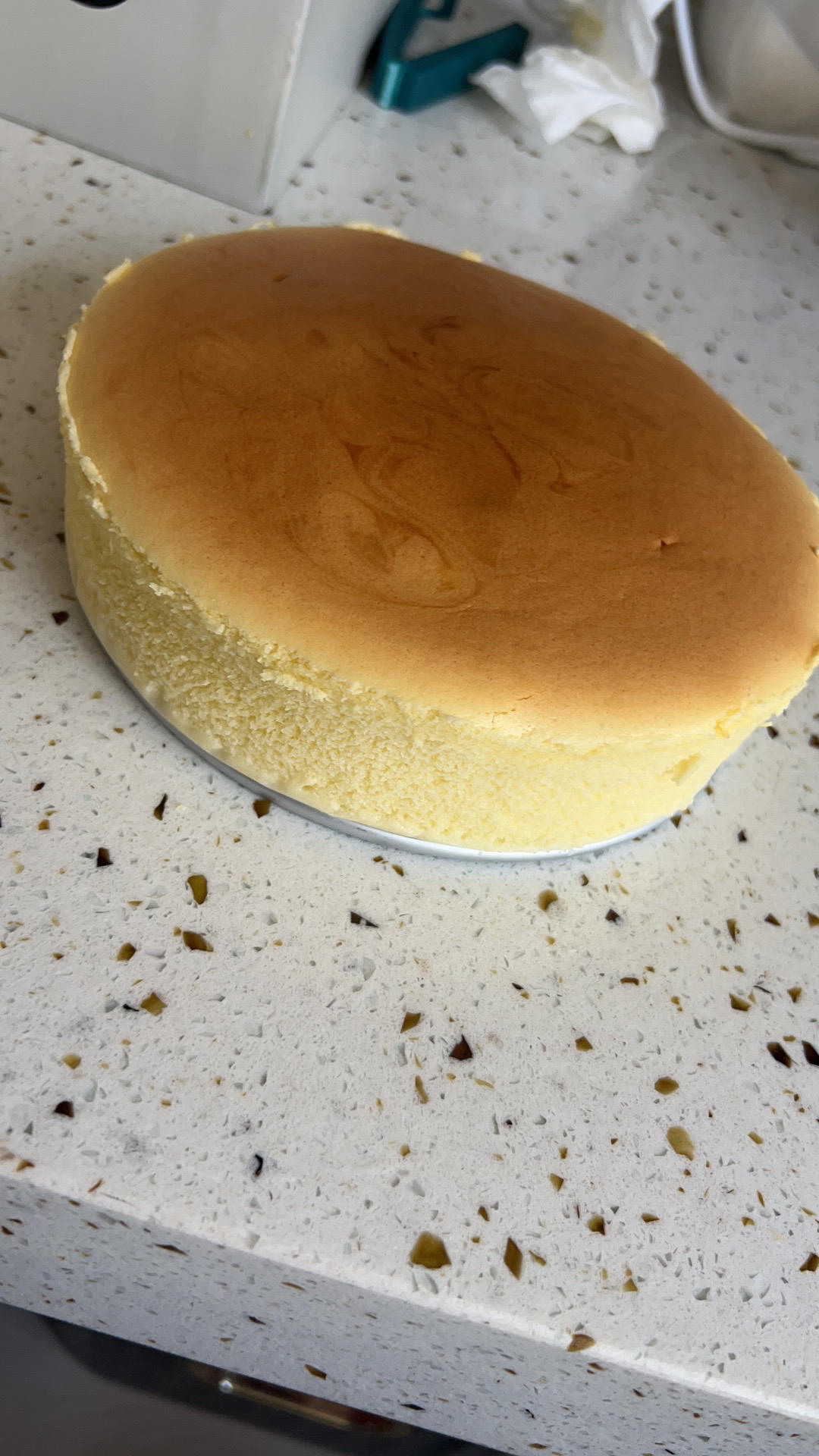 轻乳酪蛋糕（瑞可爷爷同款）网红轻乳酪