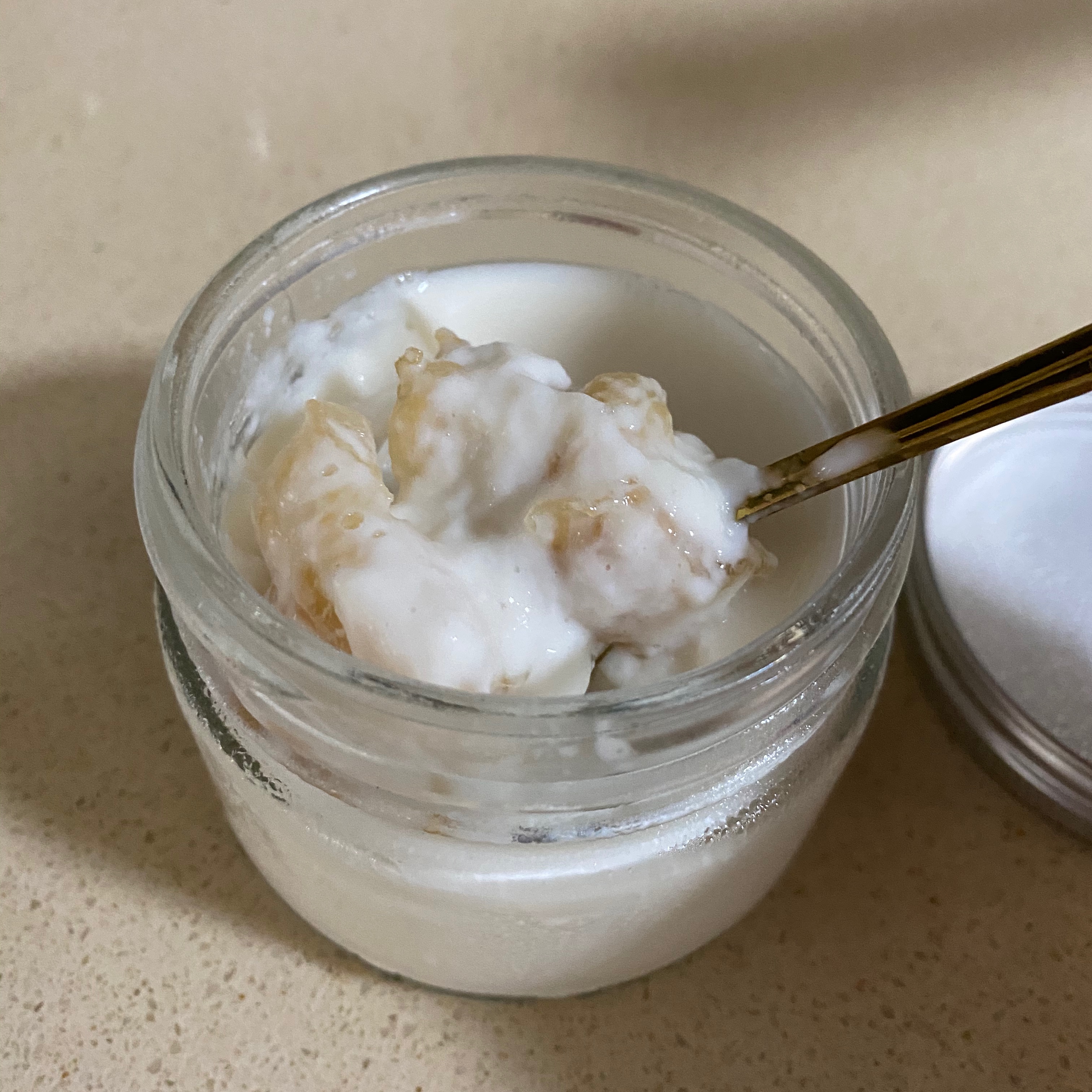 花胶炖牛奶/花胶奶冻的做法