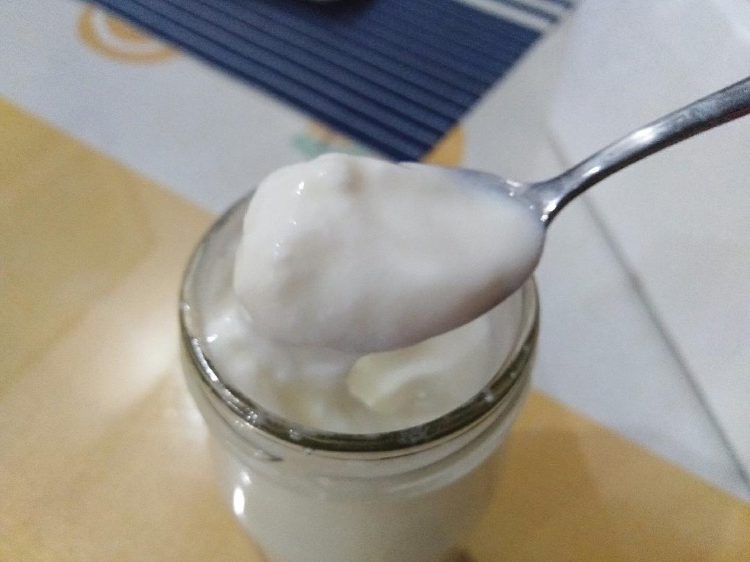 无需酸奶机的自制酸奶