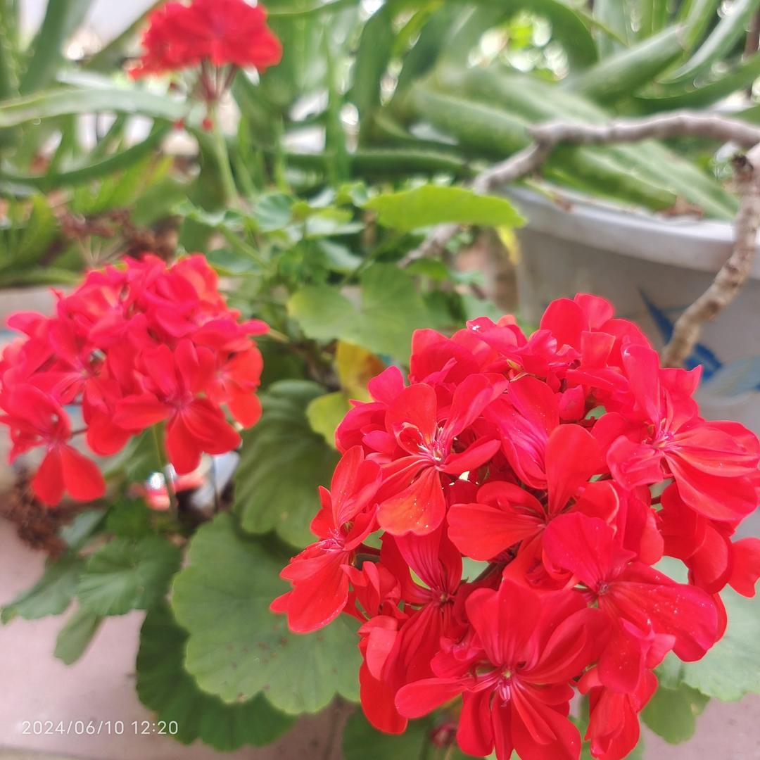 下厨房用户_g7rf