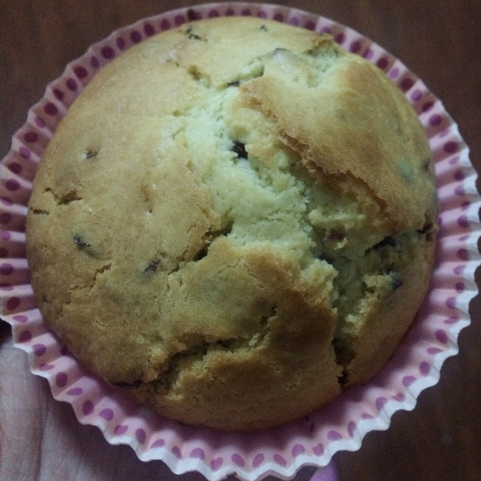 蔓越梅麦芬蛋糕（君之版）