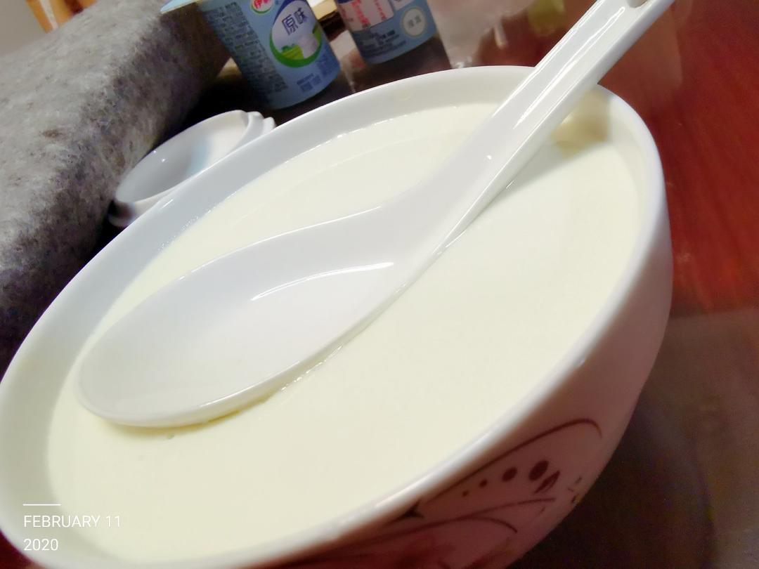 姜撞奶（零失败 估计这是最详细的姜撞奶教程了）