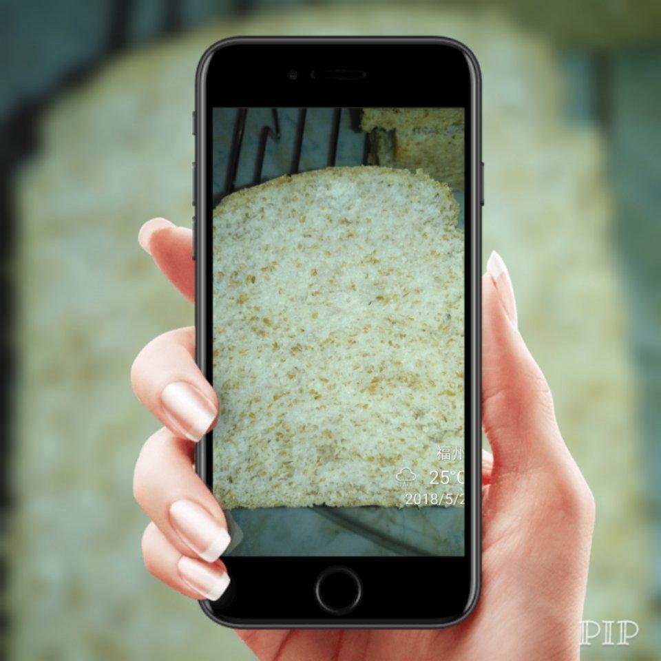 波兰种全麦吐司