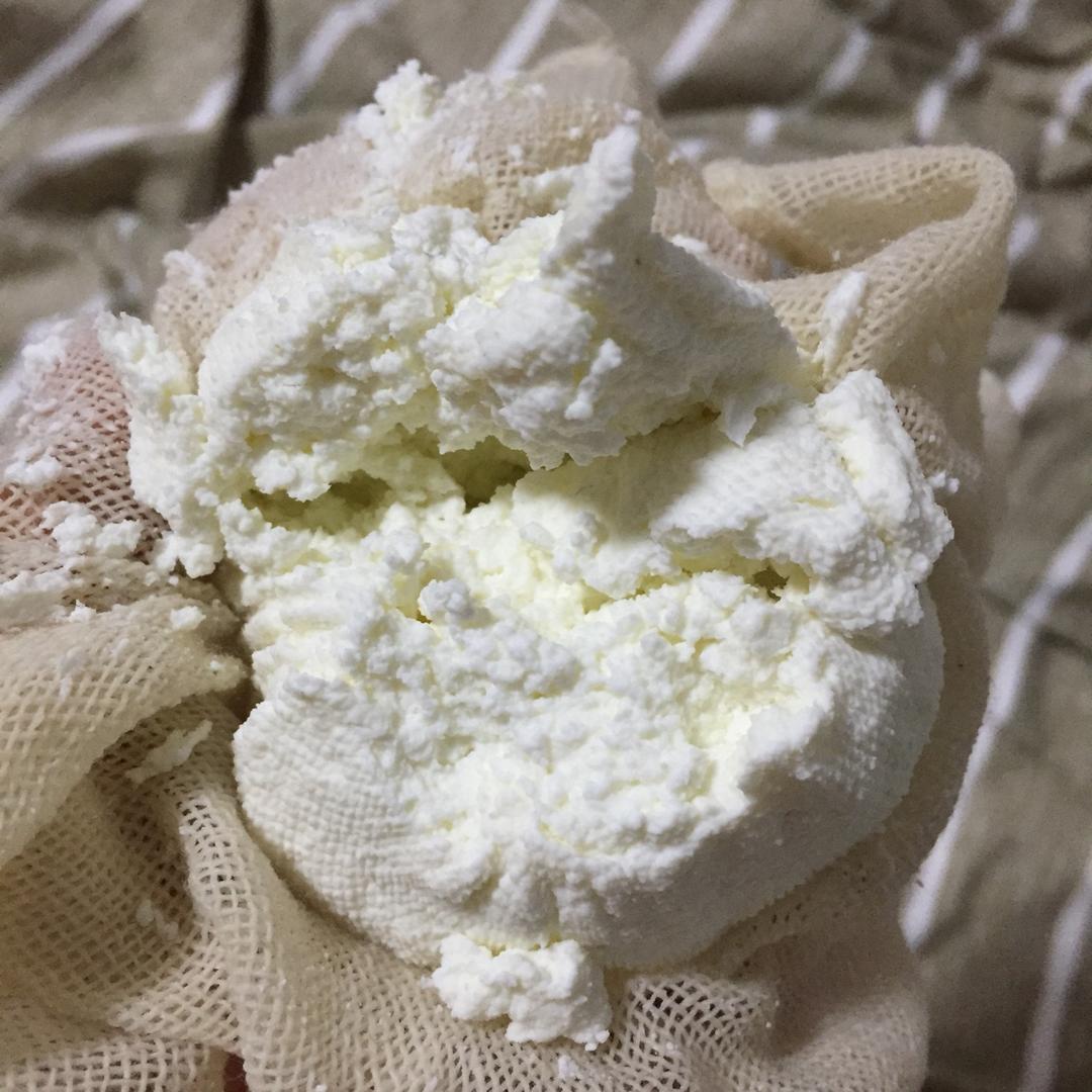 自制茅屋奶酪+快手吃法推荐（cottage cheese）丨健康·零食