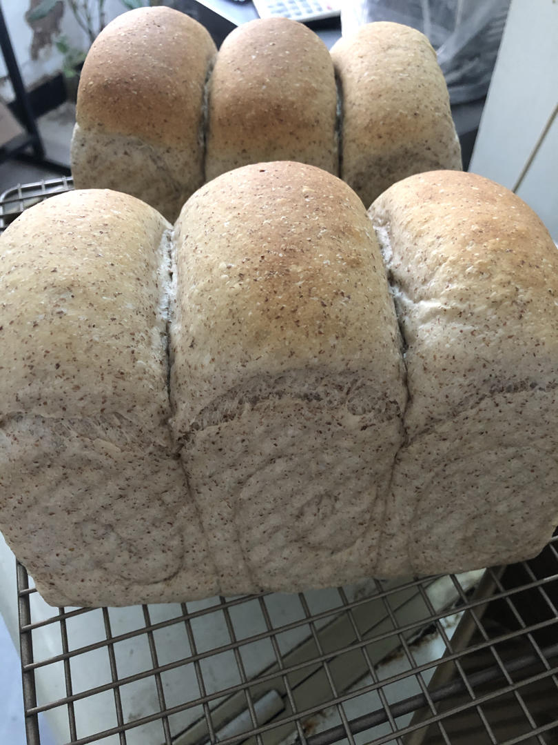 🍞低卡50%全麦吐司面包｜烫种法｜柔软拉丝｜减肥减脂必看