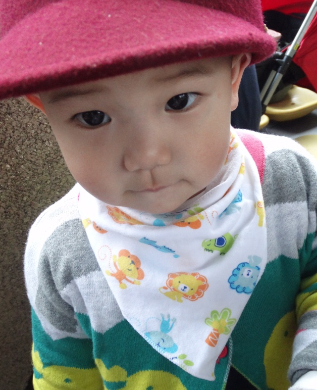 vicky小羊