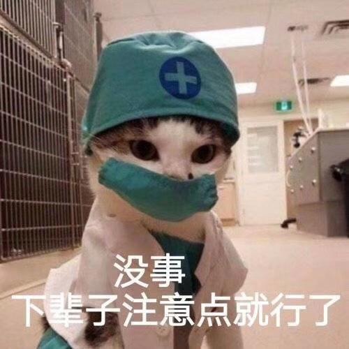 April_cat