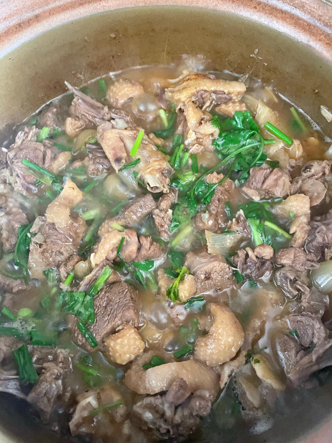 广西正宗柠檬鸭