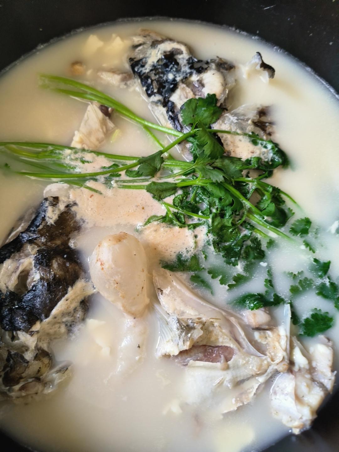 鱼头豆腐汤（白如牛奶）