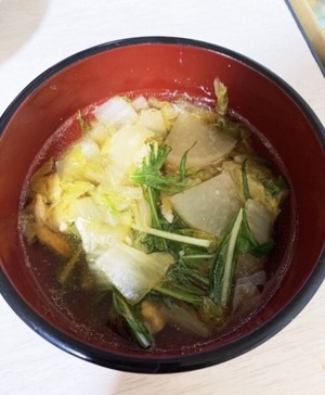 白菜萝卜鸡肉高汤酱油汤 大量消費 白菜と大根の鶏だし醤油スープ 的做法步骤图 做做做做做做饭a 下厨房 白菜萝卜鸡肉高汤酱油汤 大量消費 白菜と大根の鶏だし醤油スープ 的做法步骤图 做做做做做做饭a 下厨房