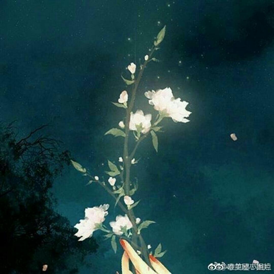 野蛮的鱼