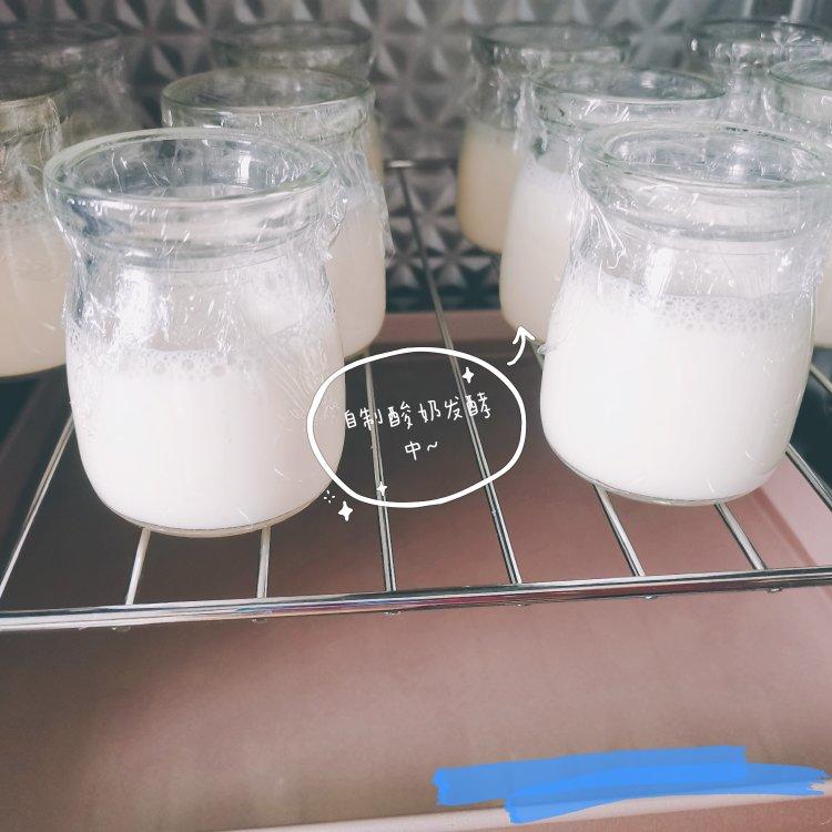 烤箱自制酸奶