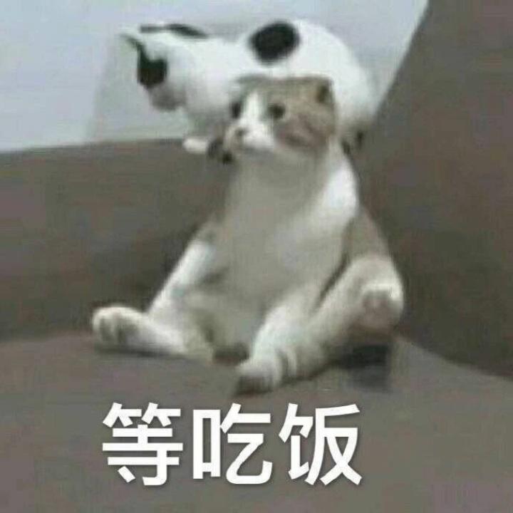 大发学做菜