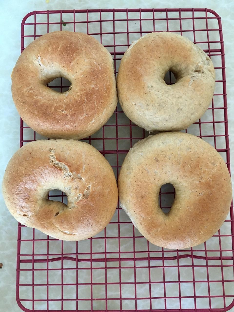 贝果新手看过来——超详细基础贝果每步注意事项