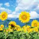 手机用户2381_by58