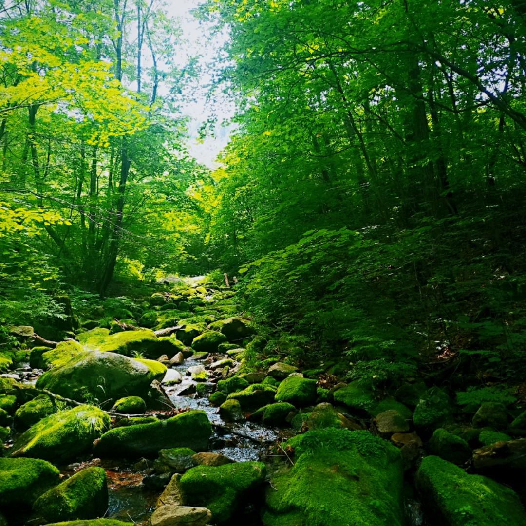 心有多大胃就有多大