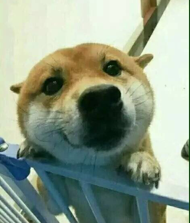 尼咯咯