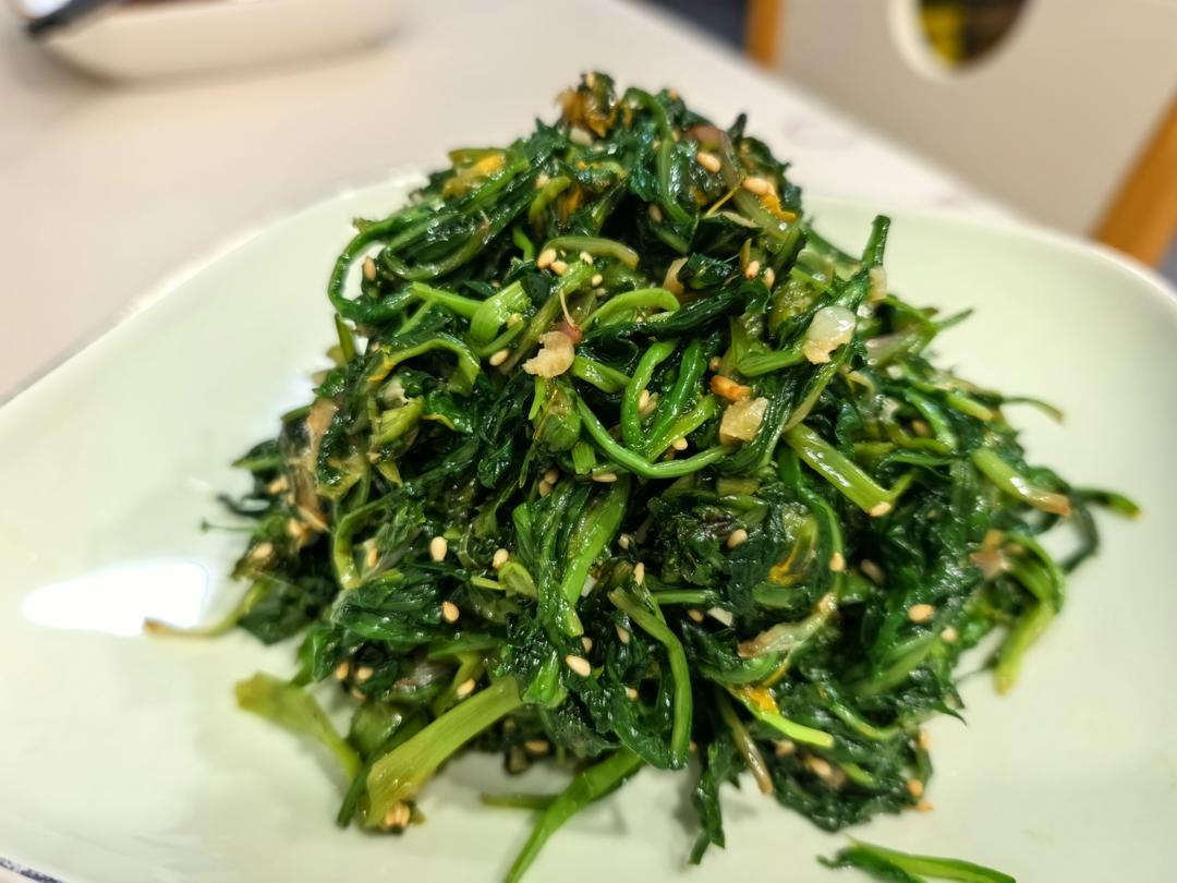 凉拌蒲公英