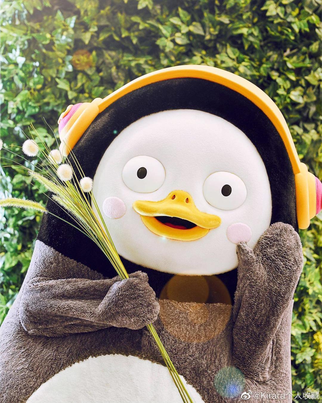 我的减脂备餐食谱