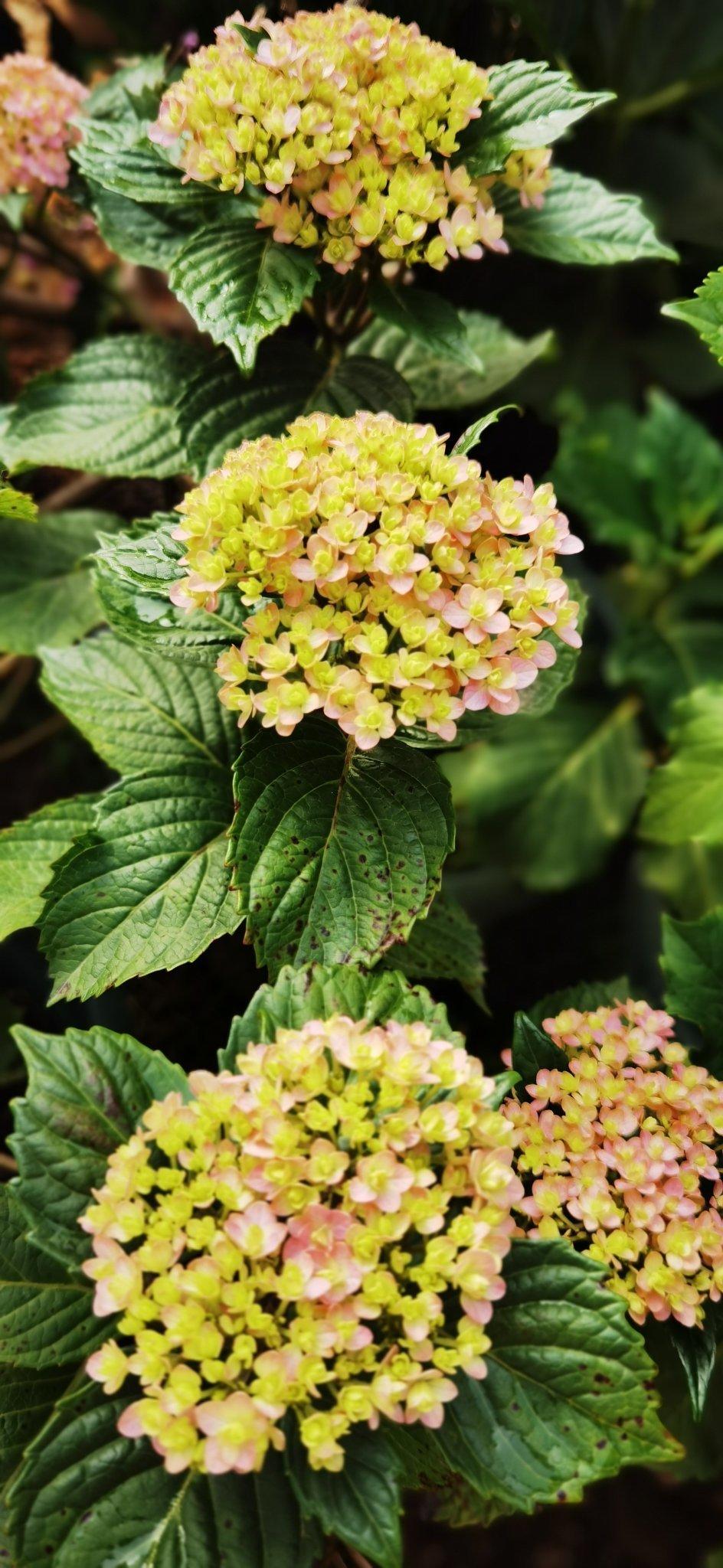 认真生活，唯有美食与爱不可辜负！