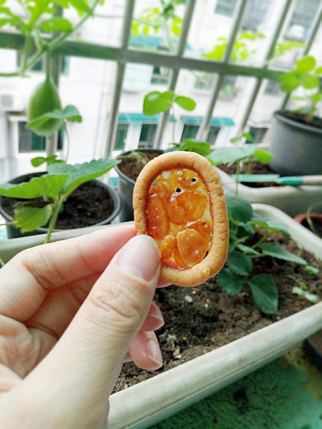 罗马盾牌饼干