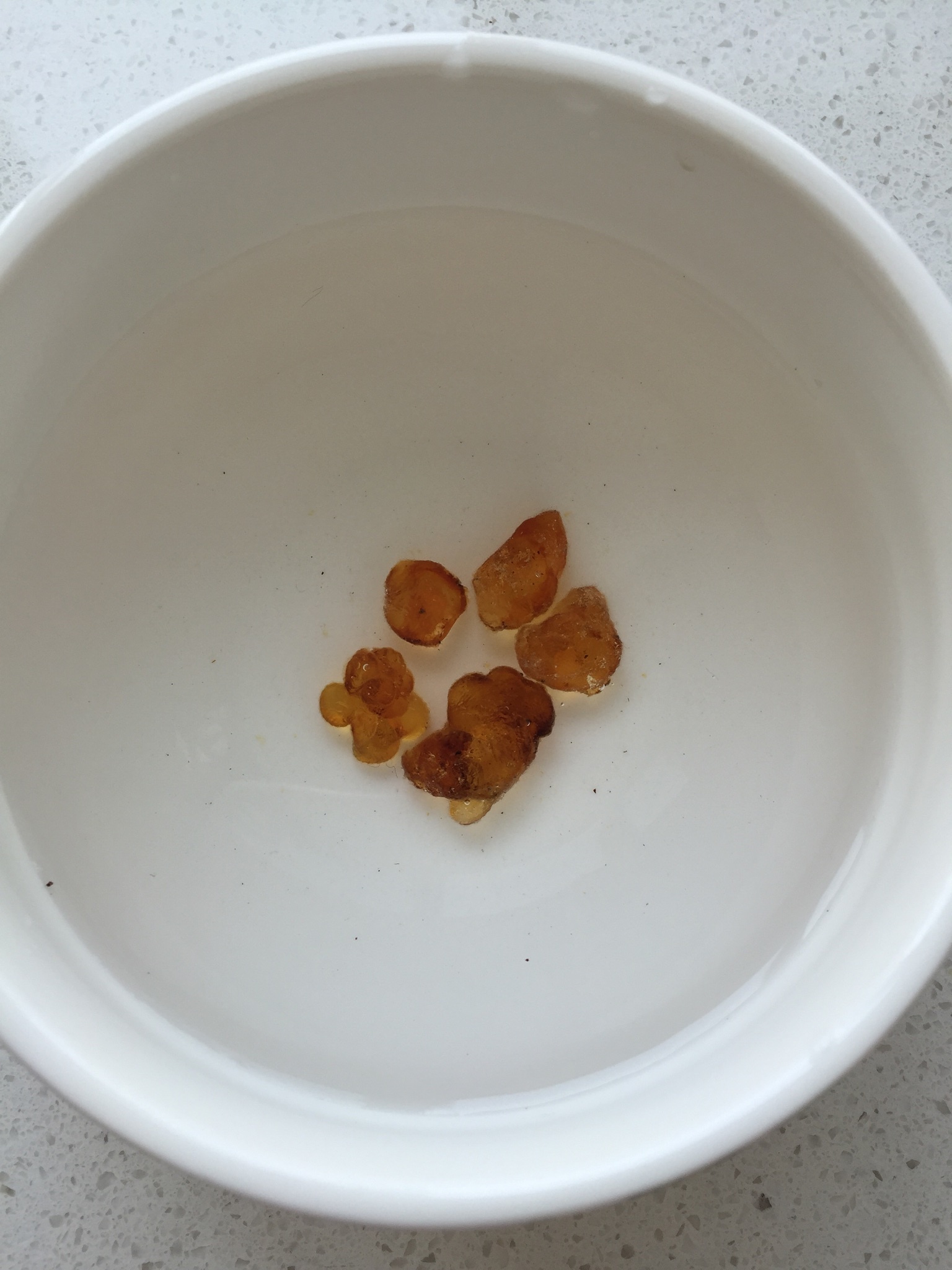 燕窝炖桃胶皂角米糖水的做法 步骤1