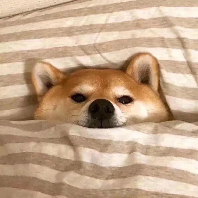 怀微的一人食记